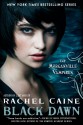 Black Dawn: The Morganville Vampires - Rachel Caine