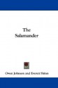 The Salamander - Owen Johnson