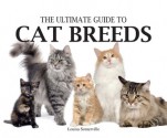 Ultimate Guide to Cat Breeds - Louisa Somerville