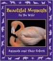 Beautiful Moments in the Wild: Animals and Their Colors - Stephanie Maze