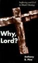 Why, Lord?: Suffering and Evil in Black Theology - Anthony B. Pinn