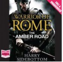 The Amber Road - Harry Sidebottom, Nick Boulton