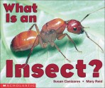 What Is An Insect? - Susan Canizares, Mary Carpenter Reid