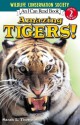 Amazing Tigers! - Sarah L. Thomson