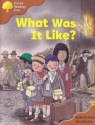 What Was It Like? - Roderick Hunt, Alex Brychta