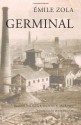 Germinal (Les Rougon-Macquart, #13) - Émile Zola, Raymond N. MacKenzie, David Baguley