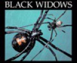 Black Widows - Peter Murray