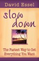 Slow Down - David Essel