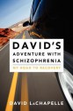 David's Adventure with Schizophrenia: My Road to Recovery - David Lachapelle