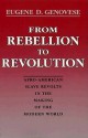 From Rebellion to Revolution: Afro-American Slave Revolts in the Making of the Modern World - Eugene D. Genovese