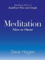 Meditation Now or Never - Steve Hagen