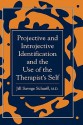 Projective and Introjective Identification and the Use of the Therapist's Self - Jill Savege Scharff