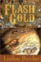 Flash Gold (Flash Gold Chronicles #1) - Lindsay Buroker