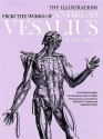 The Illustrations from the Works of Andreas Vesalius of Brussels - J.B. Saunders, Charles Donald O'Malley, J.B. de C.M. Saunders