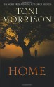 Home - Toni Morrison