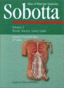 Atlas of Human Anatomy, Latin Vol. 2: Thorax, Abdomen, Pelvis, Lower Limbs - Johannes Sobotta