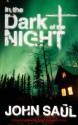 In the Dark of the Night - John Saul