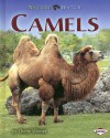 Camels (Nature Watch (Lerner)) - Cherie Winner