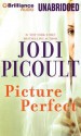 Picture Perfect - Sandra Burr, Bruce Reizen, Jodi Picoult