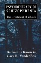 Psychotherapy of Schizophrenia: The Treatment of Choice - Bertram P. Karon, Gary R. VandenBos