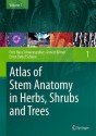 Atlas of Stem Anatomy in Herbs, Shrubs and Trees, Volume 1 - Fritz Hans Schweingruber, Annett Borner, Ernst- Detlef Schulze