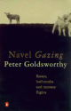 Navel Gazing: Essays, Half Truths And Mystery Flights - Peter Goldsworthy