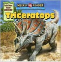 Triceratops - Joanne Mattern, Jeffrey Magniat