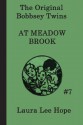 The Bobbsey Twins at Meadow Brook - Laura Lee Hope