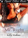 Looking For Mr. Right - Kelly Wallace