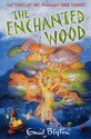 The Enchanted Wood - Enid Blyton, Jan McCafferty