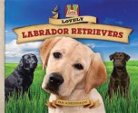 Lovely Labrador Retrievers - Pam Scheunemann