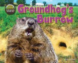 Groundhog's Burrow - Dee Phillips