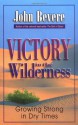 Victory in the Wilderness: Understanding God's Season of Preparation - John Bevere