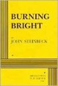 Burning Bright: A Play in Story Form - John Steinbeck