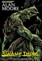 Saga of the Swamp Thing, Book 3 - John Totlebaum, Stephen R. Bissette, Alan Moore