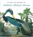 Audubon's Birds of America (Tiny Folios) - Roger Tory Peterson, Virginia Marie Peterson