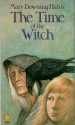 The Time of the Witch - Mary Downing Hahn