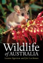 Wildlife of Australia - Louise Egerton, Jiri Lochman, Michael Archer