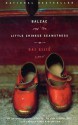 Balzac and the Little Chinese Seamstress - Ina Rilke, Sijie Dai