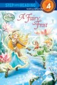 A Fairy Frost (Disney Fairies) - Tennant Redbank, Walt Disney Company