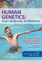 Human Genetics: From Molecules to Medicine - Christian P. Schaaf, Johannes Zschocke, Lorraine Potocki