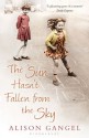 The Sun Hasn't Fallen From the Sky - Alison Gangel