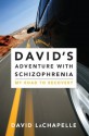 David's Adventure with Schizophrenia: My Road to Recovery - David Lachapelle