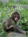 Baby Animals: Five Stories of Endangered Species - Derek Hall