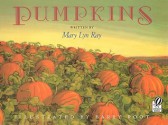 Pumpkins: A Story for a Field - Mary Lyn Ray, Barry Root