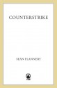 Counterstrike - Sean Flannery