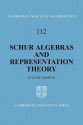 Schur Algebras and Representation Theory - Stuart Martin