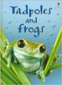 Tadpoles and Frogs (Usborne Beginners) - Anna Milbourne, Patrizia Donaera, Zoe Wray