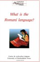 What Is the Romani Language?: Volume 21 - Peter Bakker, Milena Hubschmannova, Valdemar Kalinin, Donald Kenrick