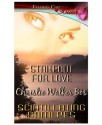 Stakeout for Love - Christie Walker Bos